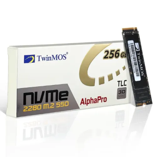 TWINMOS 256 GB nVme